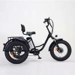 500W Electric Trike with Fat Tires and 48V Battery