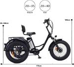 500W Electric Trike with Fat Tires and 48V Battery