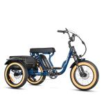 ADDMOTOR SOLETRI M-366X 750W Electric Trike for Adults