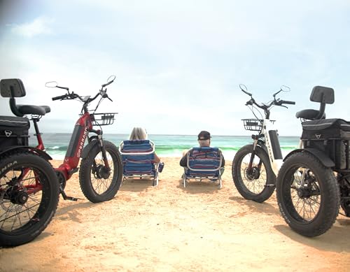 Perraro Polar Foldable Electric Trike, 750W Motor, Grocery Bag