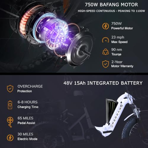 Perraro Polar Foldable Electric Trike, 750W Motor, Grocery Bag