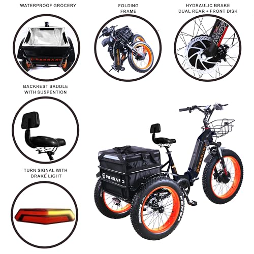 Perraro Polar Foldable Electric Trike, 750W Motor, Grocery Bag