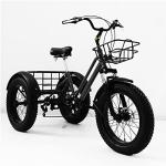 Fat Tire Adult Tricycle for Off-Road Family Transport