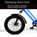 Fat Tire Adult Tricycle for Off-Road Family Transport