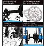 Fat Tire Adult Tricycle for Off-Road Family Transport