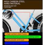 Fat Tire Adult Tricycle for Off-Road Family Transport