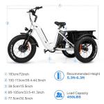 VICTRIP Electric Tricycle: 100+ Mile Range, 450 lbs