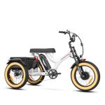 ADDMOTOR Electric Trike: 750W 85MI Full Suspension, 48V