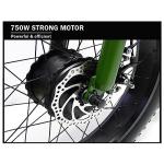 CHONGHAN Electric Trike: 750W Three Wheel Ebike