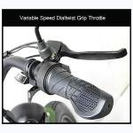 CHONGHAN Electric Trike: 750W Three Wheel Ebike