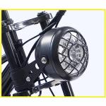 CHONGHAN Electric Trike: 750W Three Wheel Ebike