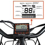 DWMEIGI 3 Wheel Electric Bike, 750W Motor, 48V