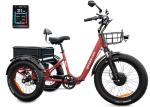 Perraro Panda Foldable Adult Electric Tricycle, 750W Motor