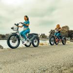 Perraro Panda Foldable Adult Electric Tricycle, 750W Motor