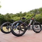 1000W Electric Fat Tire Bike, 35MPH, 60 Mile Range