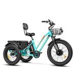 ADDMOTOR Motan 3-Wheel Electric Trike, 750W Motor 48V