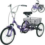 PassionBro Folding Tricycle: Single Speed Electric Bike