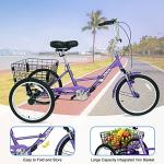 PassionBro Folding Tricycle: Single Speed Electric Bike