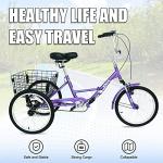 PassionBro Folding Tricycle: Single Speed Electric Bike