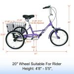 PassionBro Folding Tricycle: Single Speed Electric Bike