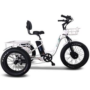 EMOJO Electric Tricycle/Fat Tire Caddy Pro Trike