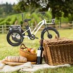 MALISA Electric Trike - Big Wheels, Long Range, Comfortable