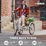 Viribus Electric Tricycle: Powerful E-Trike for Adults