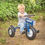 Tricam Ol' Blue Toddler Tricycle – 22 Inch Bike