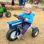 Tricam Ol' Blue Toddler Tricycle – 22 Inch Bike