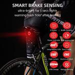 ROCKBROS Smart Brake Sensing Bike Tail Light