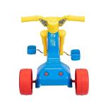 Paw Patrol 10" Junior Cruiser Tricycle for Toddlers