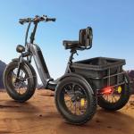 Adult Electric Tricycle with 110-Mile Range