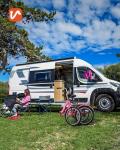Viribus Folding 3-Wheel Adult Tricycle - Pink
