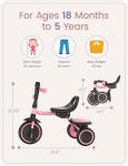 Pink Kids Tricycle for Toddlers Ages 2-4