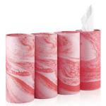 4-Pack Car Tissue Holder with Travel Tissues