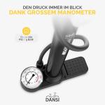 DANSI Electric Bike Pump with Gauge and Adapters