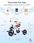 KRIDDO 2-in-1 Kids Balance Bike and Tricycle