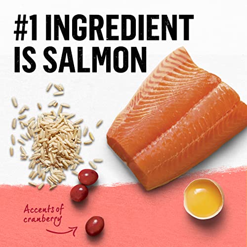 Natural Salmon Cat Food - 3lbs