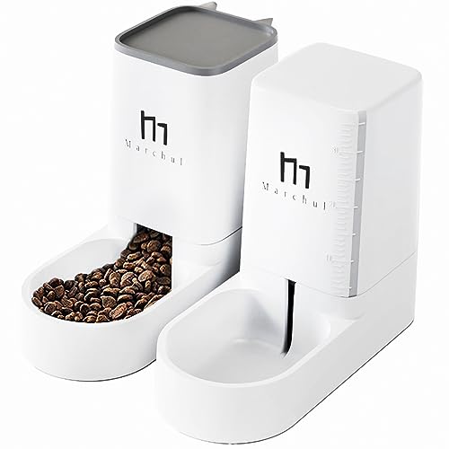 Automatic Cat Feeder and Water Dispenser Set