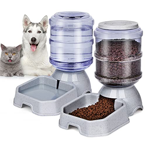 Automatic Pet Feeder and Water Dispenser for Cats