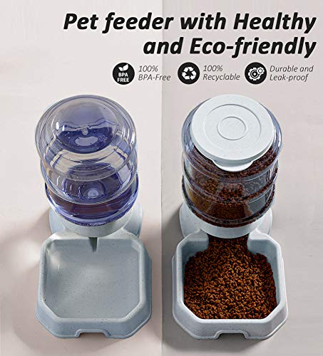 Automatic Pet Feeder and Water Dispenser for Cats