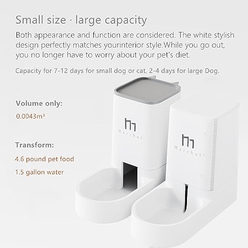 Automatic Cat Feeder and Water Dispenser Set