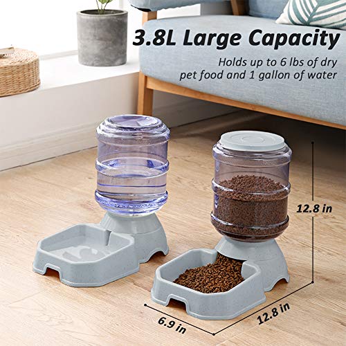 Automatic Pet Feeder and Water Dispenser for Cats