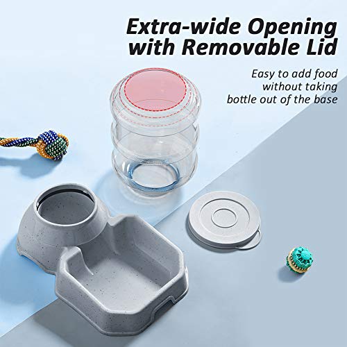 Automatic Pet Feeder and Water Dispenser for Cats