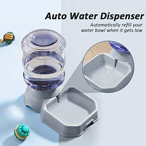 Automatic Pet Feeder and Water Dispenser for Cats