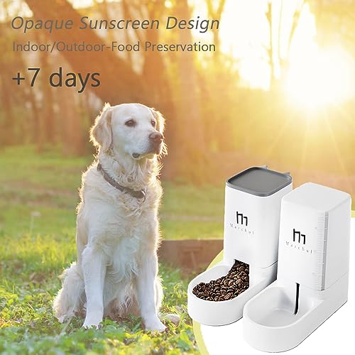 Automatic Cat Feeder and Water Dispenser Set