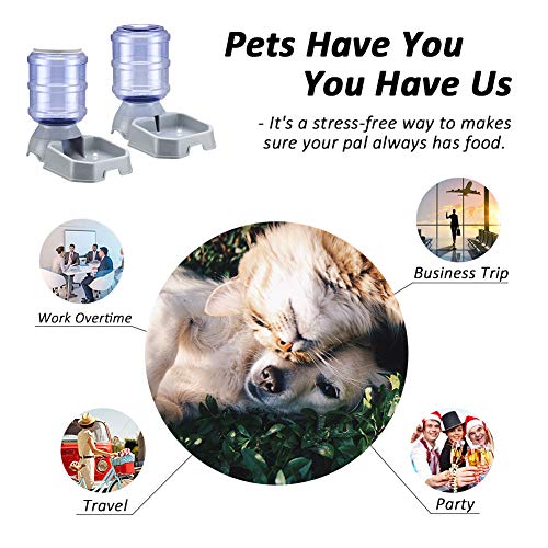 Automatic Pet Feeder and Water Dispenser for Cats