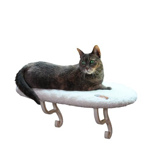 Window Perches