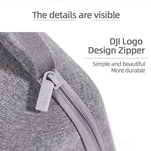 Mini 2 SE Waterproof Shockproof Hard Case Bag