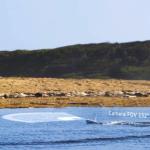 PowerDolphin Wizard Underwater Drone with 4K Camera